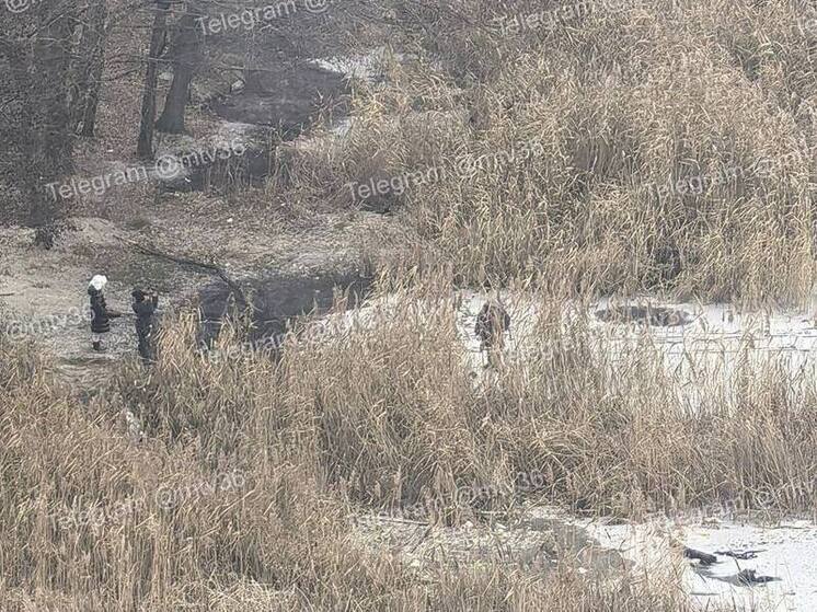 Воронежские дети вышли на тонкий лед водохранилища