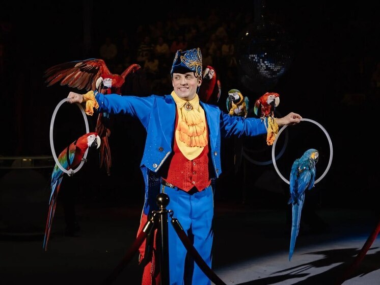 На благотворительное шоу  в цирке пришло почти две тысячи детей из курского приграничья