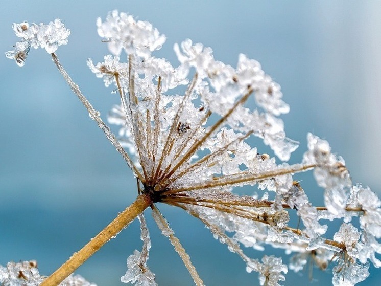 Морозная ловушка: что ждать хабаровчанам 22 декабря
