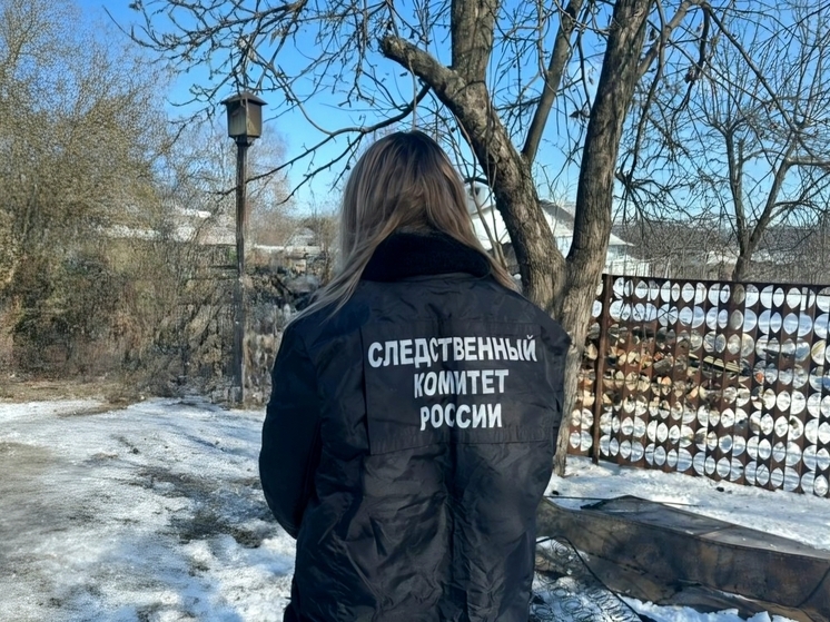 В Знаменском округе возбудили дело после совершения тяжкого преступления