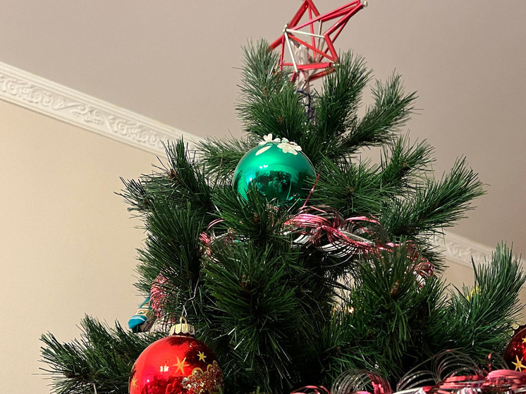 В преддверии новогодних праздников специалисты Роспотребнадзора напомнили калининградцам, на что стоит обратить внимание при выборе праздничной елки