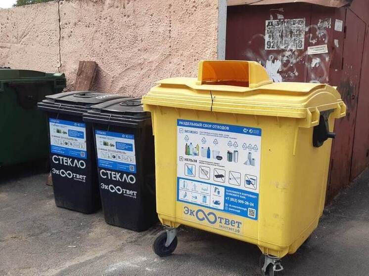 Калининградцев обяжут купить новые контейнеры для мусора