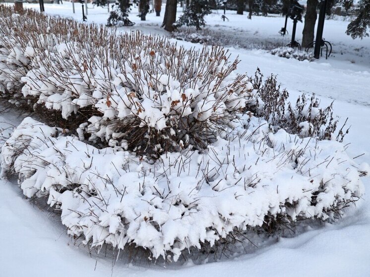 Теплая погода будет в понедельник на Южном Урале