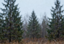 Мы ежедневно чему-то удивляемся