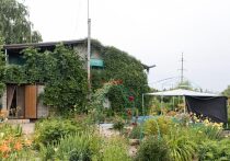 В этом году Верховный суд России в своем определении поставил жирную точку в вопросе, который годами будоражил дачников: можно ли взыскивать взносы, если решение собрания, которое их установило, признано недействительным? Ответ категоричный: нет, нельзя