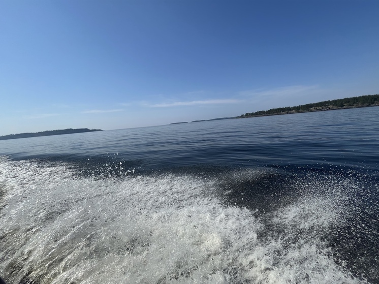В заповеднике «Пасвик» начали восстанавливать популяцию редкой жемчужницы