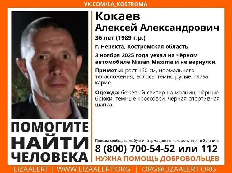 Пропавшего в ноябре жителя Костромской области ищут с помощью квадрокоптеров