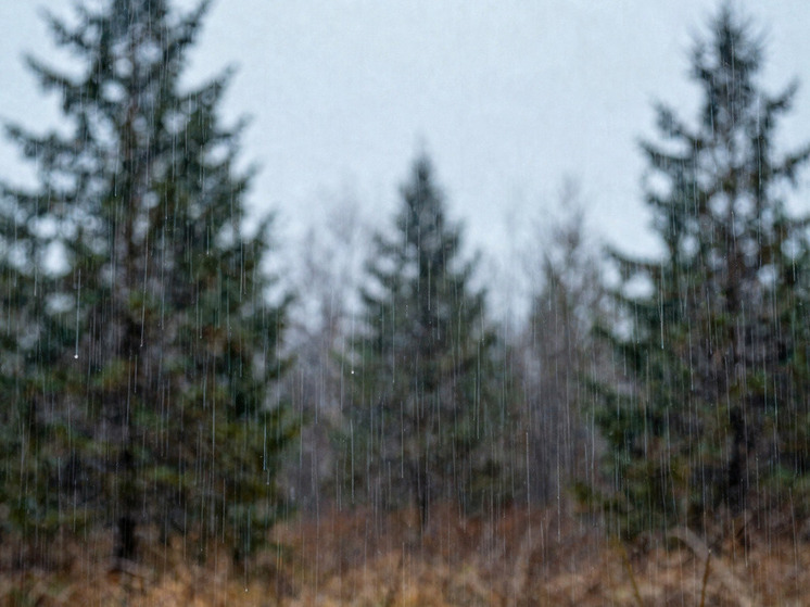 Мы ежедневно чему-то удивляемся