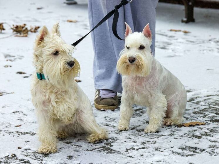 Приметы на Анну Темную: что нельзя делать 22 декабря 2025 года