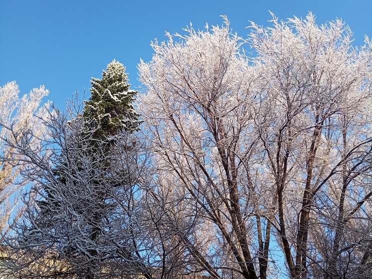 Сила магнитной бури 22 декабря составит 5 баллов: идеальное время для построения планов