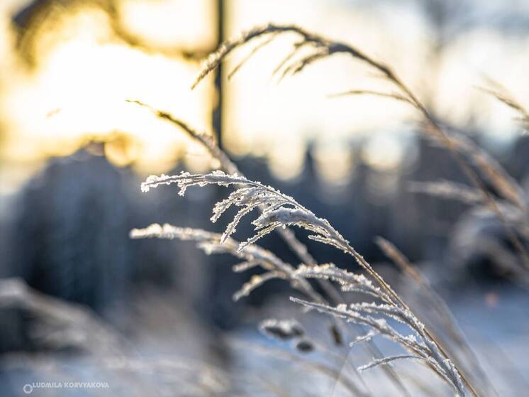 Морозно будет в Карелии 22 декабря