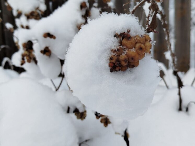 Хакасию накроет непроницаемым снежным покрывалом