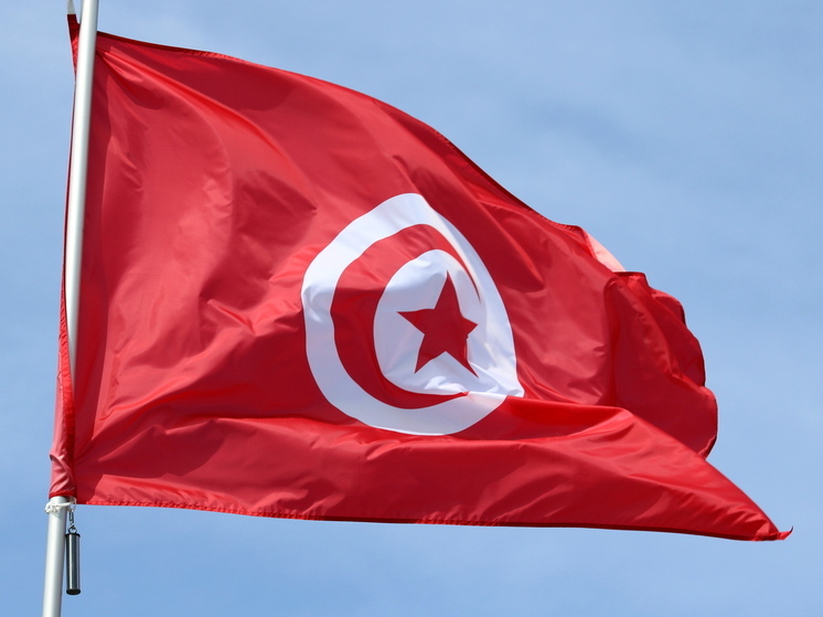 РИА Новости: Совместный экипаж вертолета из россиян и белорусов покинет Тунис