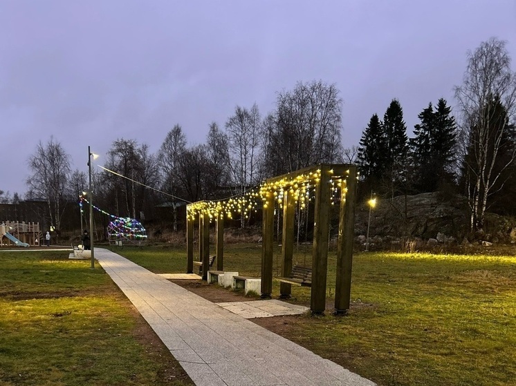 Подростки повредили новогодние гирлянды в сквере Питкяранты