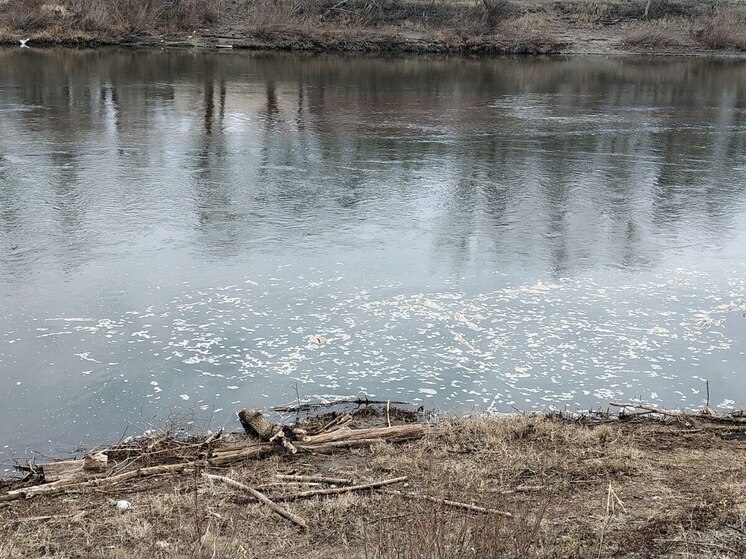 В суд направили дело о хищении 8 млн рублей при очистке русла Урала в Орске