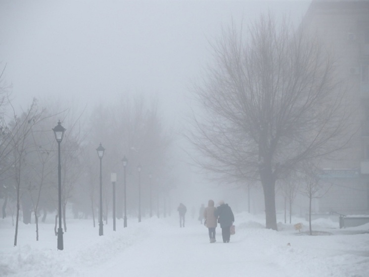 В Волгоградской области  в начале недели ожидается мокрый снег