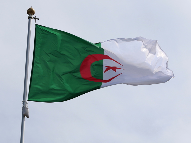 Алжир обсуждает законопроект о признании колониальной политики Франции преступной