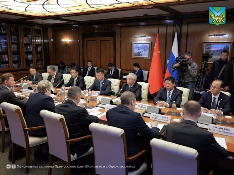 В Приморье запустят онлайн-базу проверенных заявок из Китая для местного бизнеса