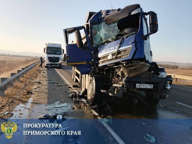 Прокуратура взяла на контроль расследование гибели ребенка в ДТП под Владивостоком