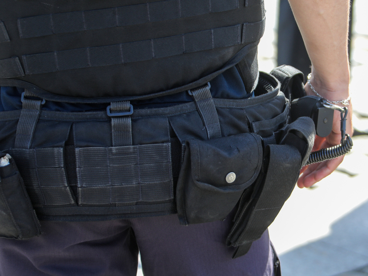 В Миннесоте служащий ICE стрелял в нелегала за наезд на миграционную службу