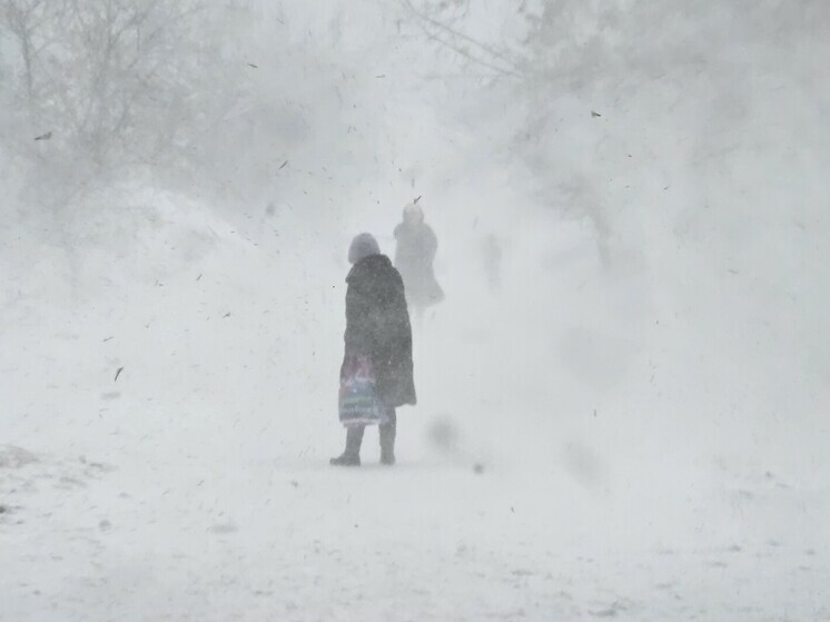 В Новосибирскую область придут снегопады и метели с потеплением до -5°C