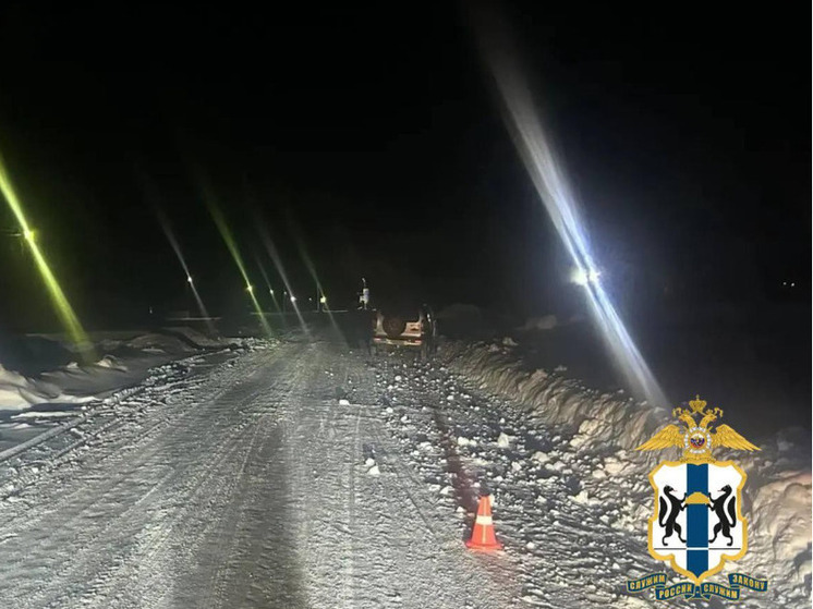 В Новосибирской области пьяный водитель насмерть сбил 12-летнюю девочку