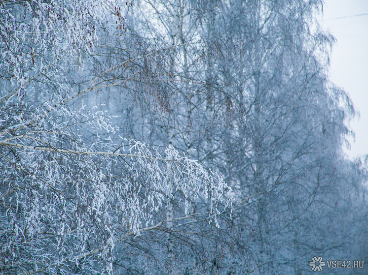В Кемеровскую область пришли морозы