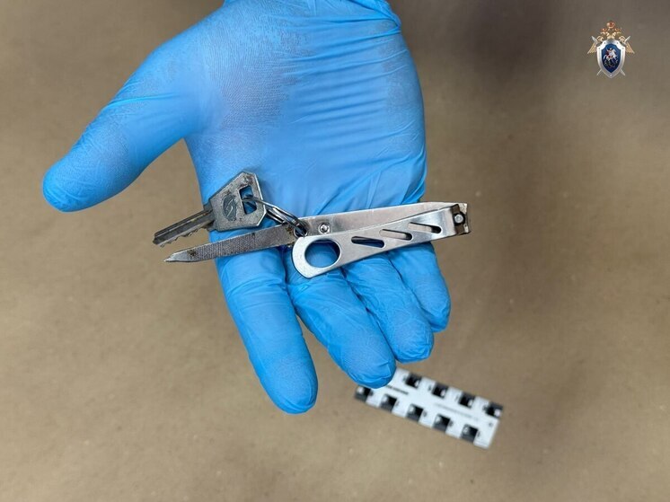 Житель Приамурья убил знакомого выдвижным ножом