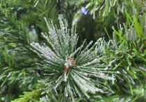 Продолжаем следить за геомагнитным полем в регионе
«МК во Владивостоке» продолжает информировать о состоянии геомагнитного поля в регионе