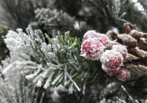 Расшифровываем для вас послания вселенной
Начало недели пройдет под влиянием главного космического события прошедших выходных - зимнего солнцестояния и входа Солнца в знак Козерога