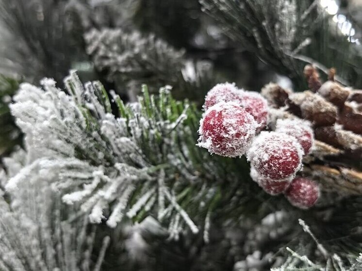 Приморский гороскоп на неделю с 22 по 28 декабря 2025 года