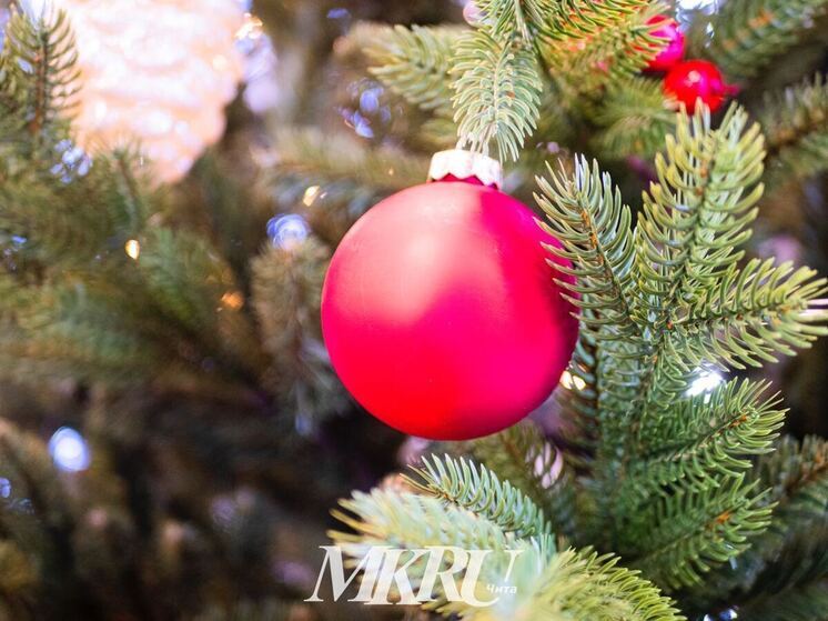 Новогодние ёлки в Забайкалье рекомендуют проводить без объединения детей