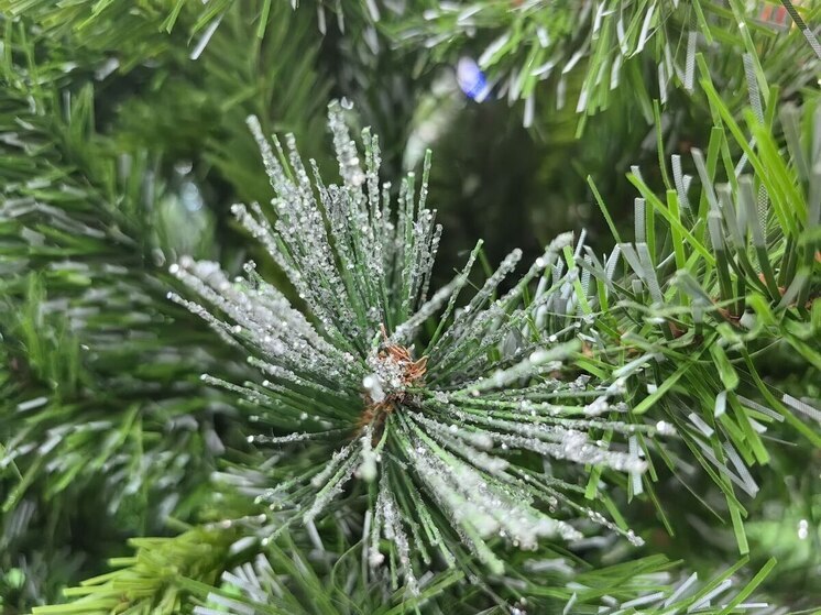 Магнитные бури во Владивостоке на неделю с 22 по 28 декабря 2025 года