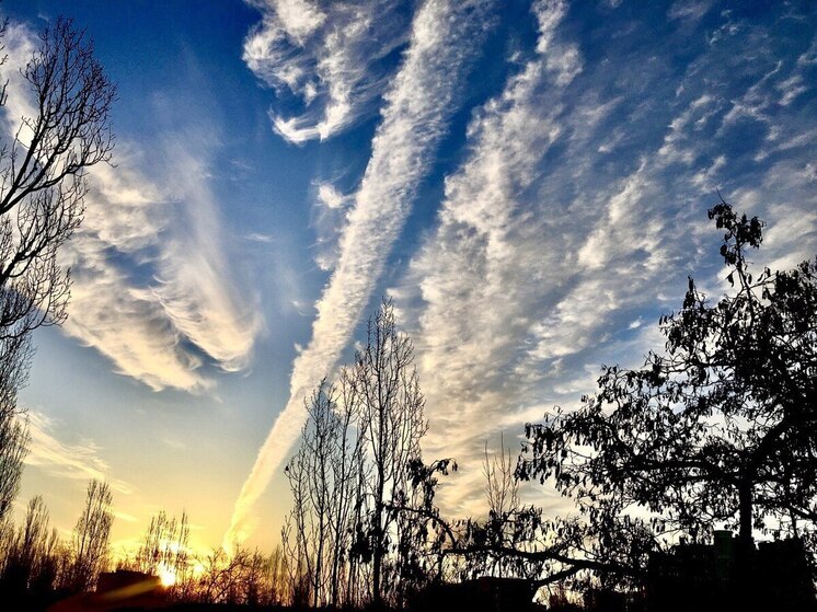 В Воронежской области наступил самый короткий световой день в году