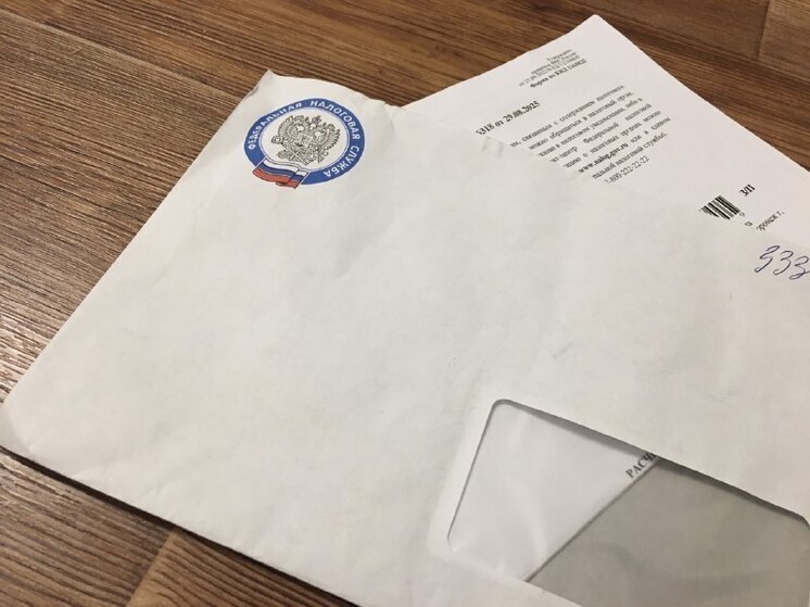 Секретную налоговую корреспонденцию нашли у дороги под Воронежем