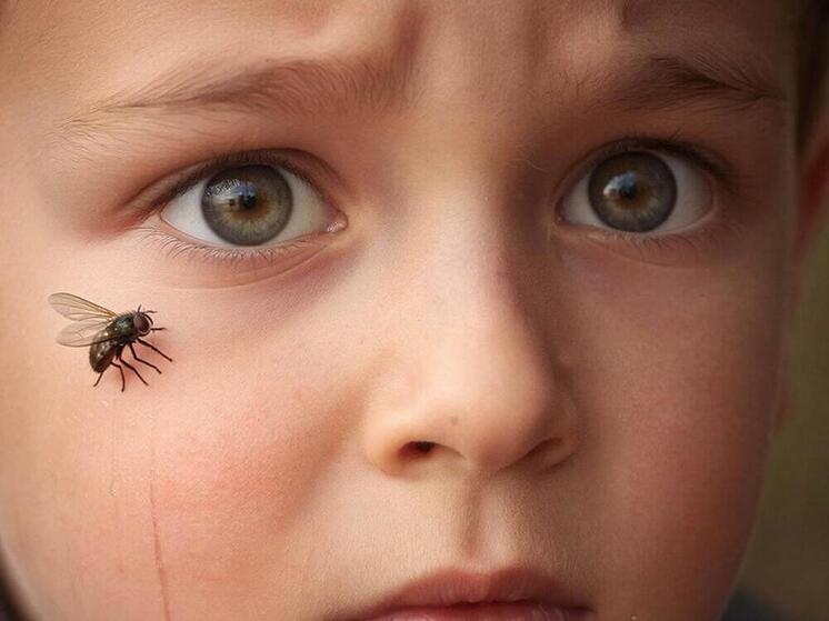 Мать в Назарово оставила ребенка в квартире-свалке: на лице малыша ползали мухи