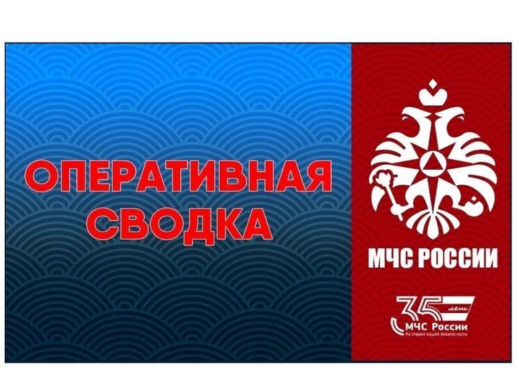 Смоленские пожарные за сутки ликвидировали шесть пожаров