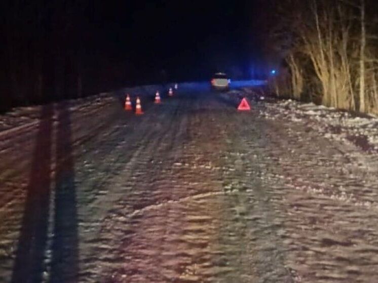 10-летний мальчик погиб, катаясь на тюбинге в Кикнурском районе