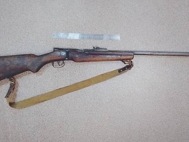 Карабин на аккумулятор: омский пенсионер осуждён за незаконную сделку с оружием