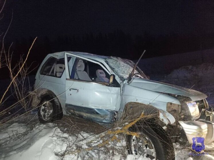 2 человека пострадали в ДТП с иномаркой в Борском районе Самарской области