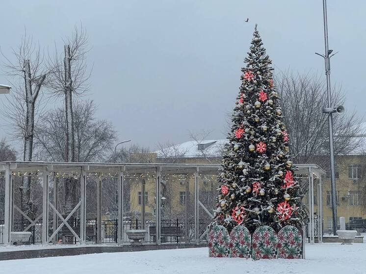 Глава Роскосмоса исполнит новогоднее желание десятилетнего мальчика из Самары