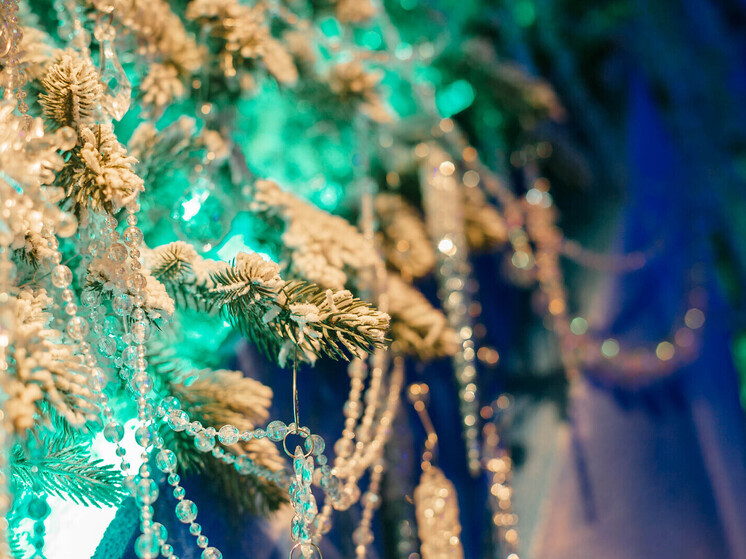 Программа новогодних утренников 2025-2026 в Хабаровске
Для юных хабаровчан наступают по-настоящему волшебные каникулы