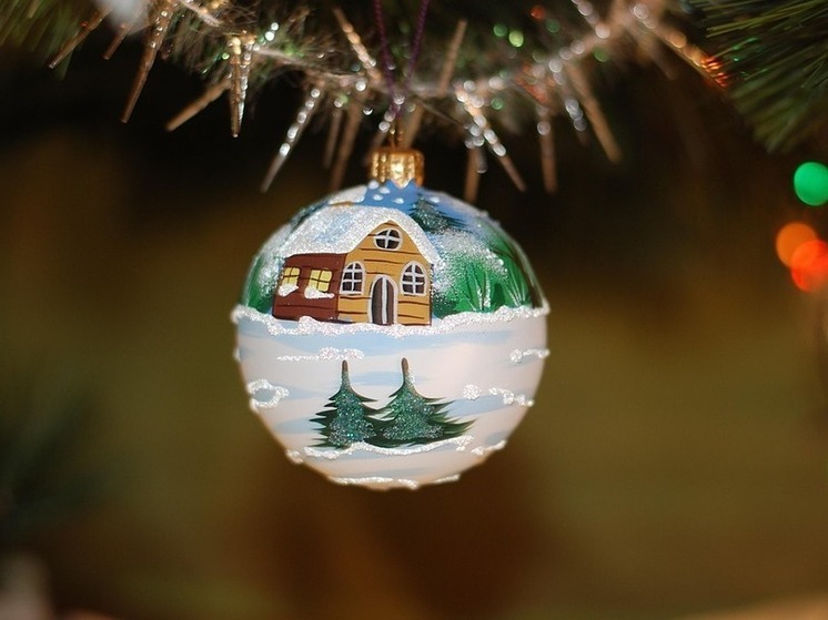 Более 300 детей Хабаровского края подали заявки на «Елку желаний»