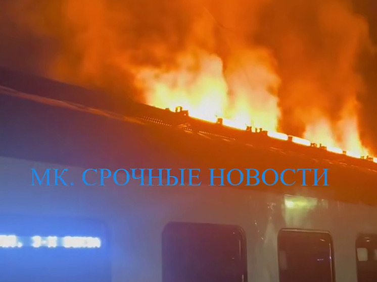 Подмосковная электричка загорелась по пути в столицу