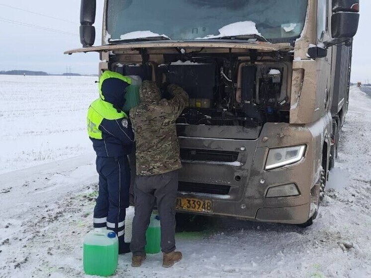 Тюменские автоинспекторы спасли китайского дальнобойщика в сильный мороз