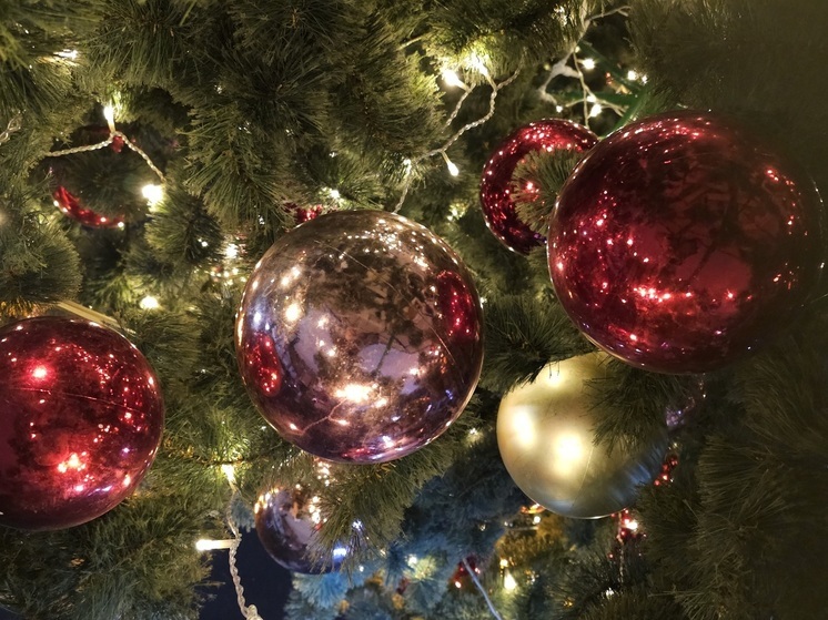 87 новосибирских школьников отправятся на кремлёвскую ёлку