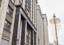 В 2026 году регионы нашей страны будут выбирать новый состав Госдумы. Жители Пензенской области обычно показывают достаточно высокую заинтересованность и с удовольствием участвуют в голосовании за представителей нижней палаты парламента. 