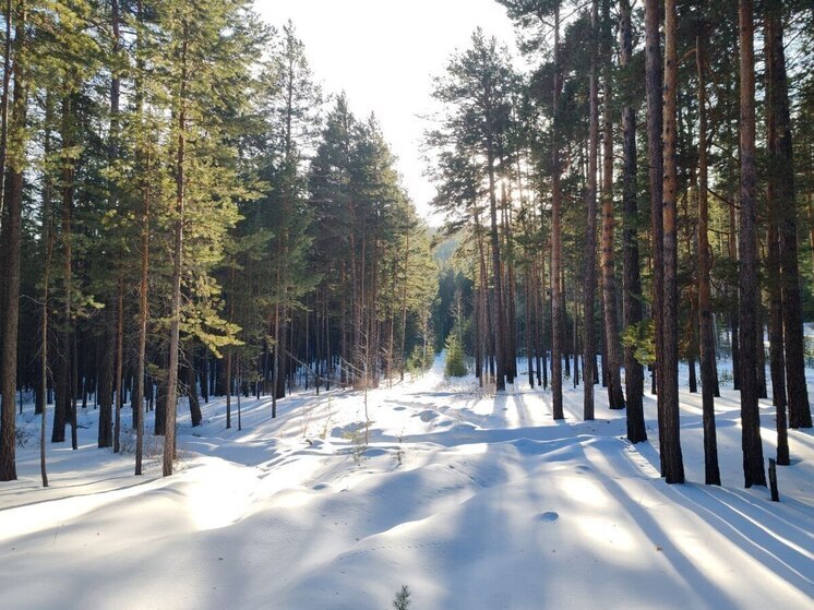 Бурятию ожидает умеренно-морозная погода с метелями к выходным