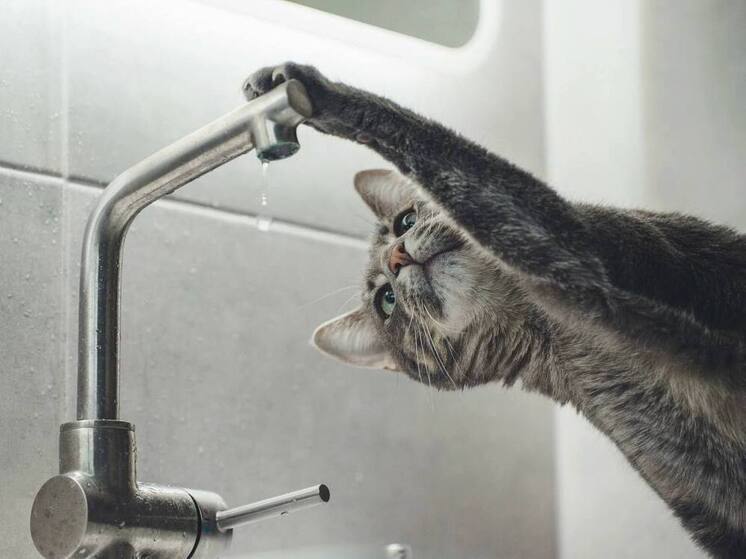 Три переулка Мелитополя остались без воды на время ремонта