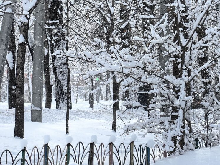 Снегопад и гололед: синоптики предупредили о непогоде во Владивостоке